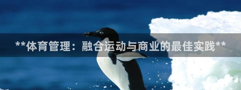 必一体育登入