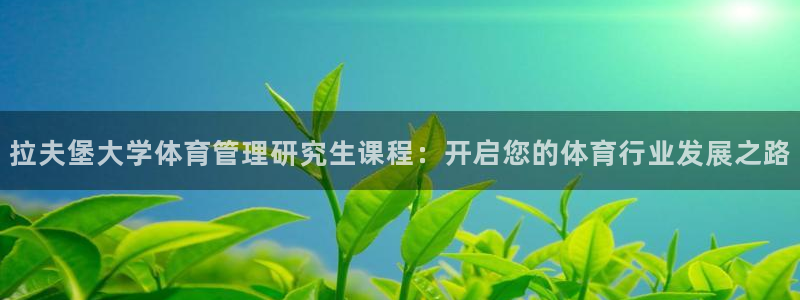 b体育必一运动网页版在线登录入口