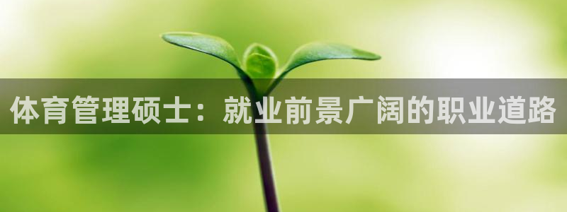 必一体育sport下