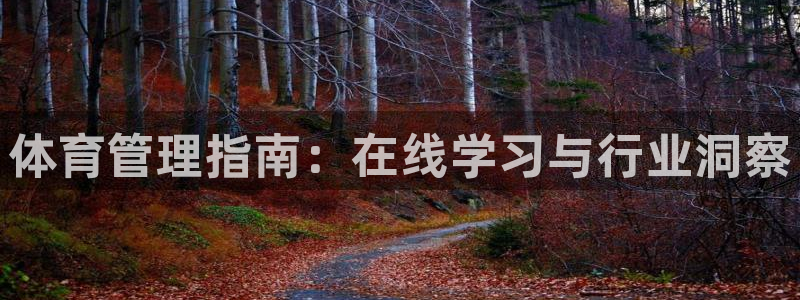 必一体育能提现大金额吗