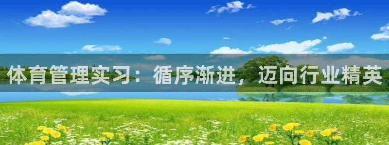 必一体育是哪里的台子