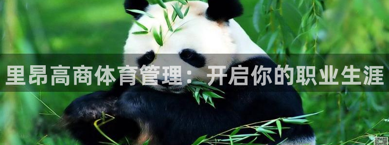 必一体育登录
