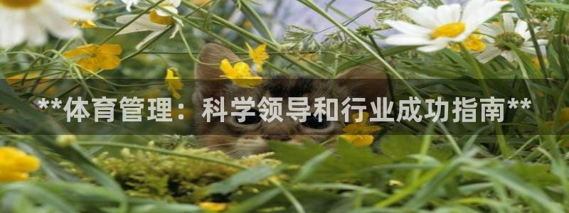 必一体育运动app下载