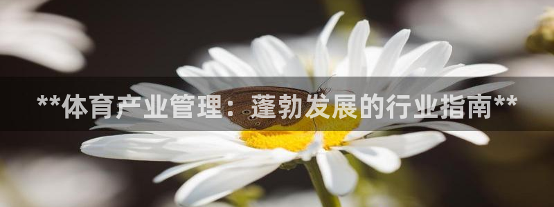 必一体育在线官网：*