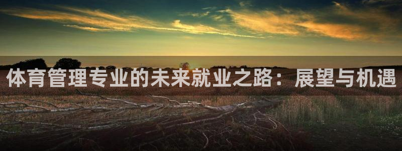 必一体育运动app：