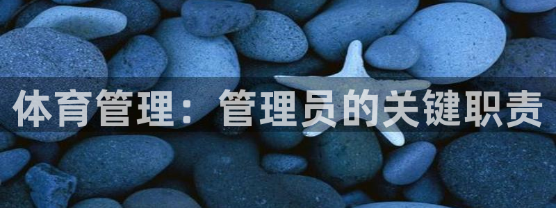 必一体育在线登录