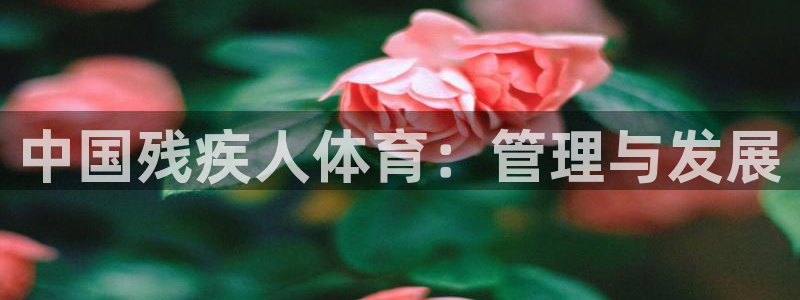 必一体育平台