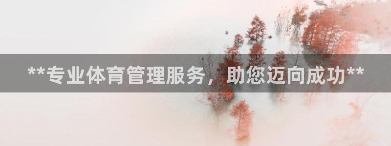 必一体育手机下载：*