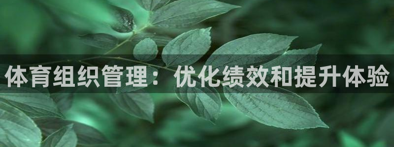 必一体育官网网址