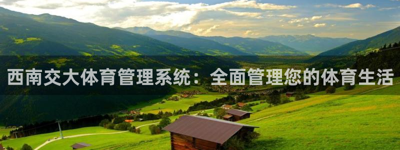 必一体育bsport下载