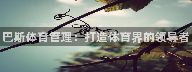 必一体育官方网站入口