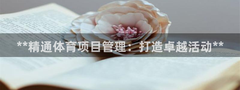 必一体育app官方下