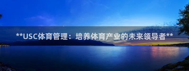 必一体育官网入口：*