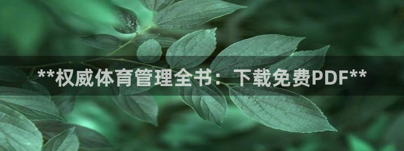 必一体育流水线是什么