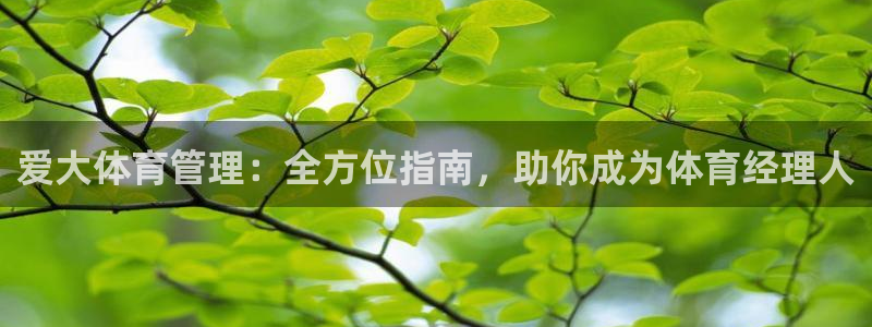 必一运动官网装机吧