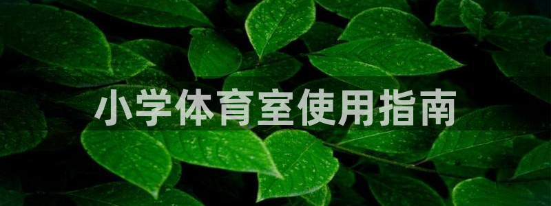 必一体育服下载最新版