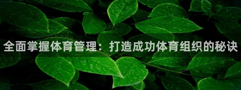 必一运动体