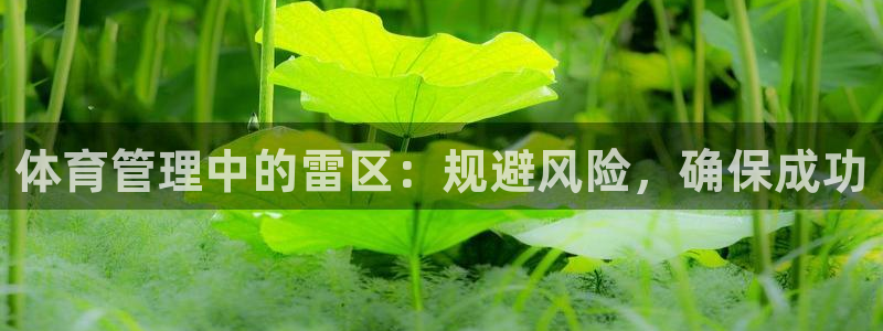 必一体育网页