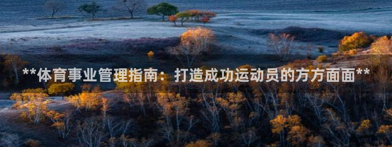 b体育官网下载入口a