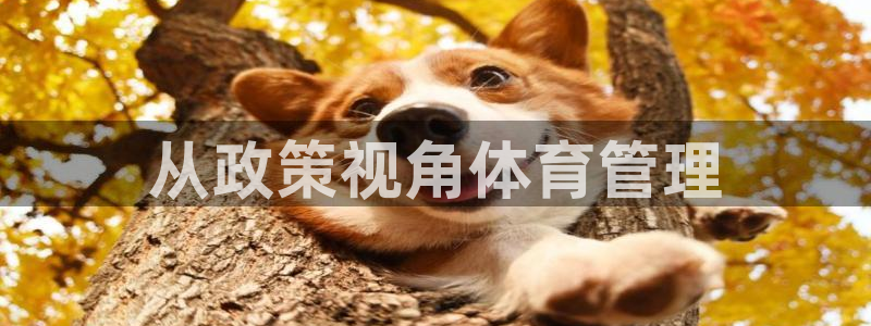 必一体育服下载最新版本更新内容