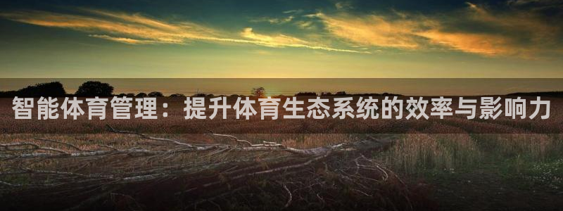 必一体育没了：智能体