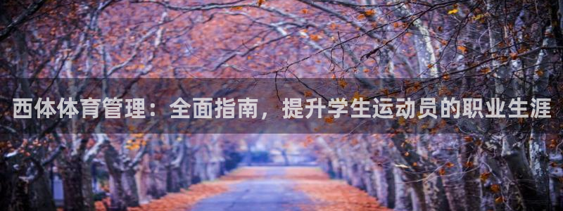 必一体育怎么下载：西
