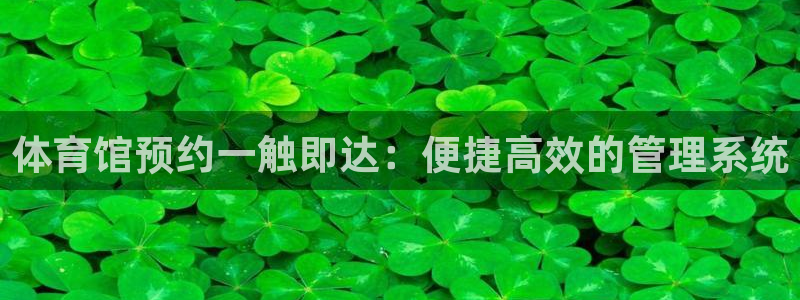 必一体育下载app下载
