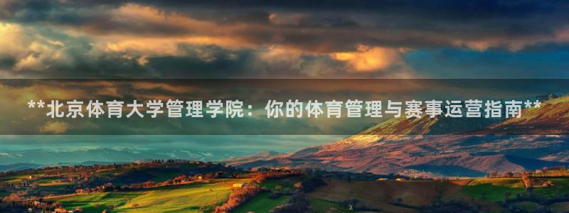 必一体育官网app