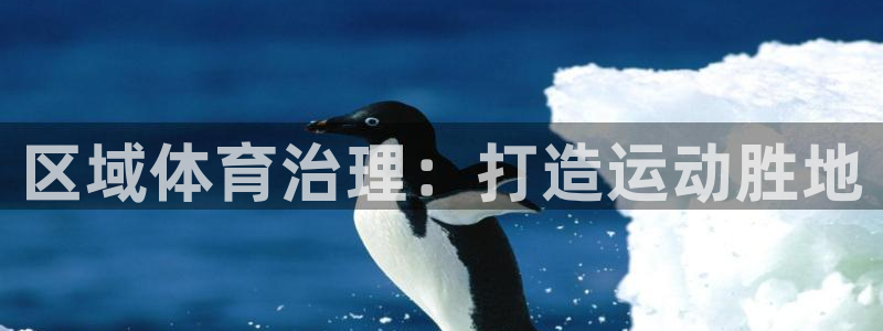 必一体育app官方正版下载