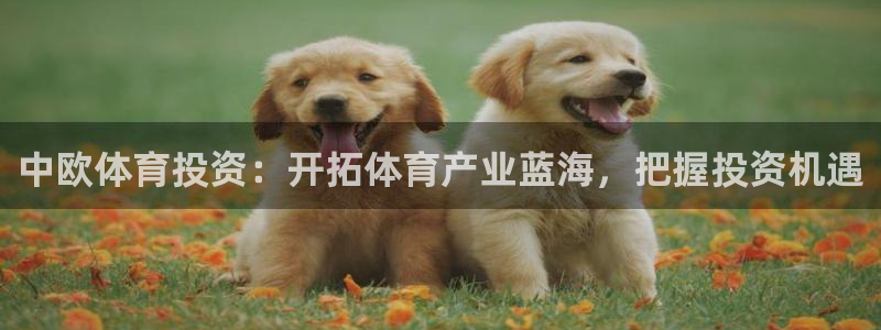 必一体育最新官网入口