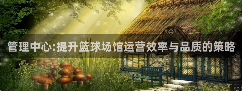 必一体育官网app：