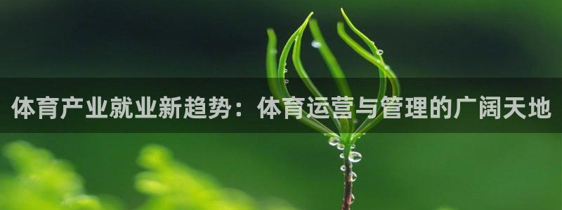 b体育官网下载入口a