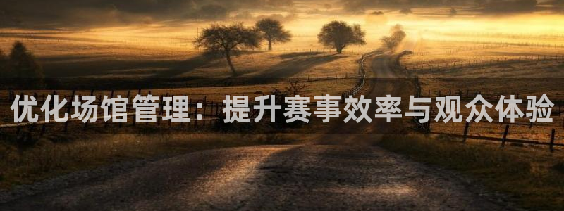 必一体育平台：优化场