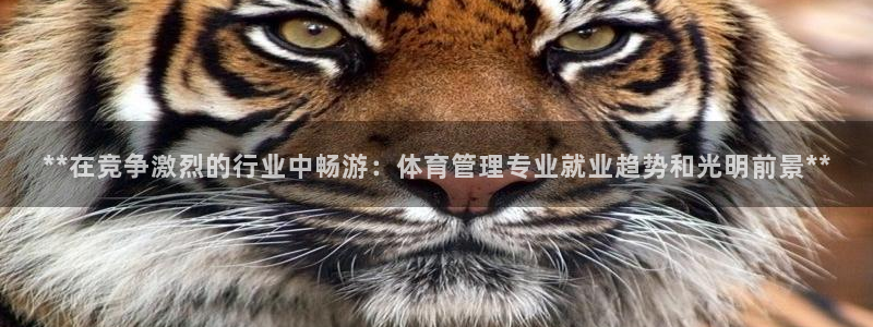 必一体育网址：**在