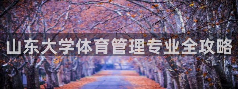 必一体育在线入口