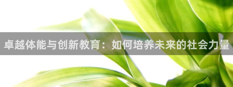 必一体育合法吗：卓越