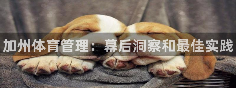必一体育app平台下载