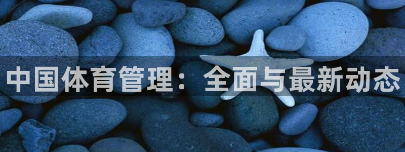 必一体育登录入口