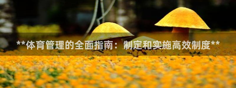 必一体育黑钱：**体