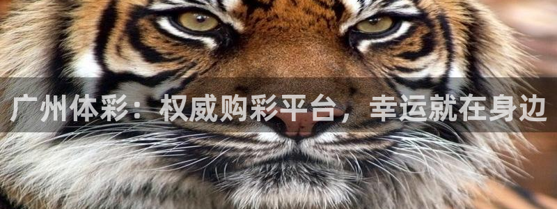 必一体育下载一样吗：