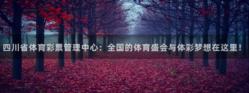 必一运动官网平台：四
