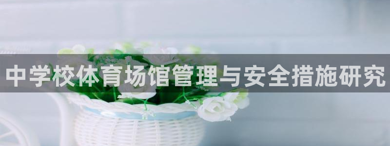 必一体育sport装