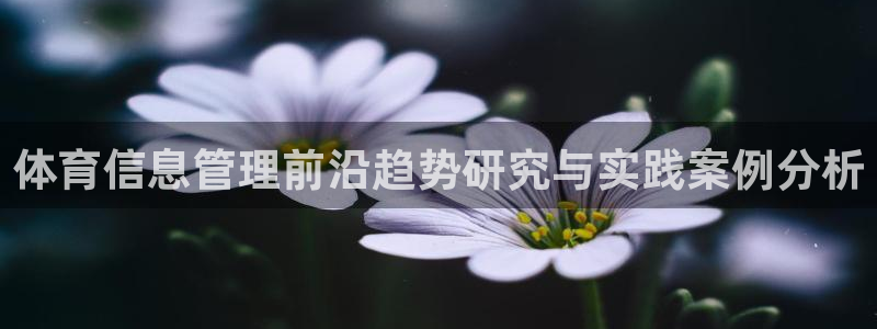 必一运动体：体育信息