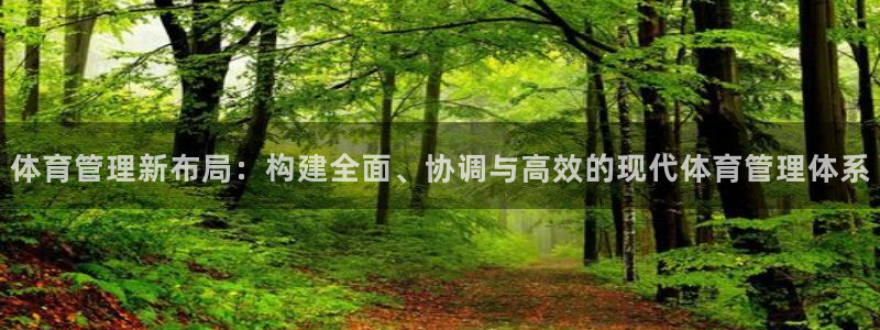 必一体育手机下载：体