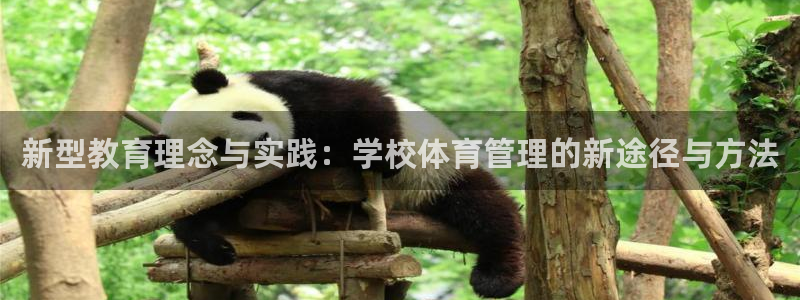 必一体育在线登录：新型教育理念与实践：学校体育管理的新途径与
