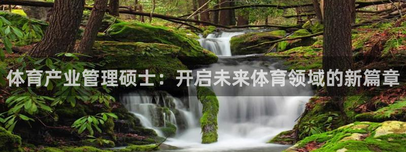 必一体育sport官方网站：体育产业管理硕士：开启未来体育领