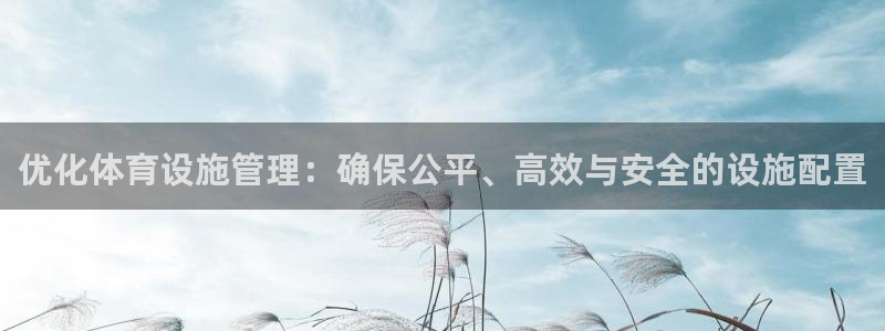 必一体育官方下载入口：优化体育设施管理：确保公平、高效与安全