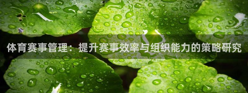 必一体育登入：体育赛事管理：提升赛事效率与组织能力的策略研究