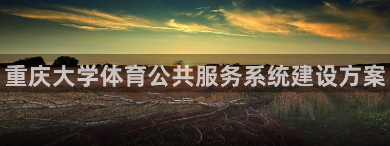 必一体育app平台下