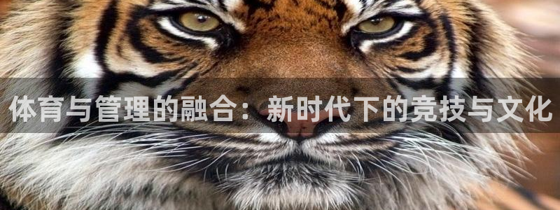必十二和必一的副作用